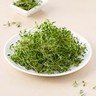 THYME - SuperMarcheStore