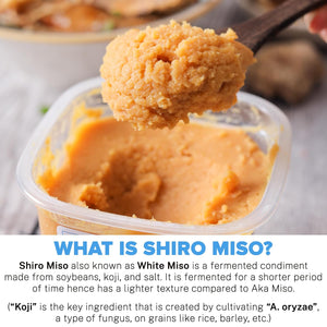 URBAN PLATTER SHIRO MISO PASTE 300G - SuperMarcheStore