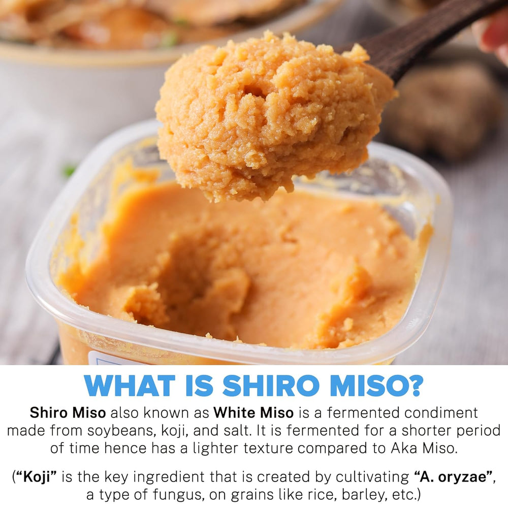 URBAN PLATTER SHIRO MISO PASTE 300G - SuperMarcheStore