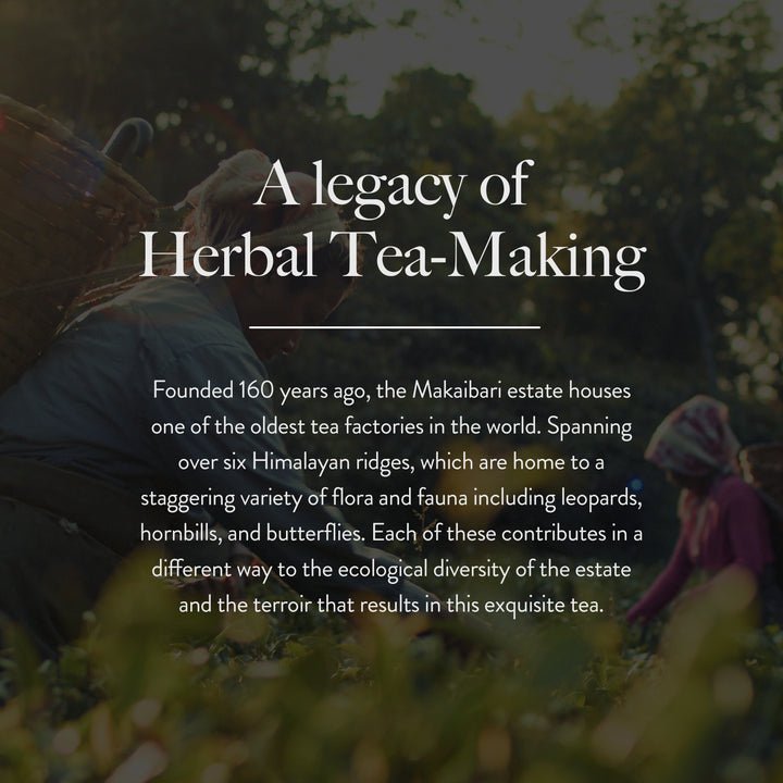 WELLBEING SLEEP ASAPTOGENIC HERBAL TEA - SuperMarcheStore