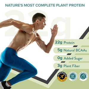 WELLBEING SUPERFOOD PLANT PROTIEN FRENCH VANILLA - SuperMarcheStore