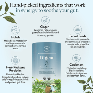 WELLBIENG DIGEST ADAPTOGENIC GREEN TEA - SuperMarcheStore