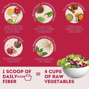 WELLBRING DAILY FIBER VANILLA BERRY MRP 999 - SuperMarcheStore