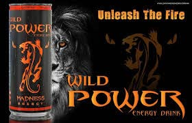 WILD POWER MADNESS ENERGY 250ML - SuperMarcheStore