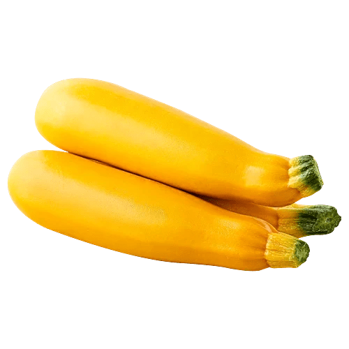 ZUCCHINI (YELLOW ) - SuperMarcheStore